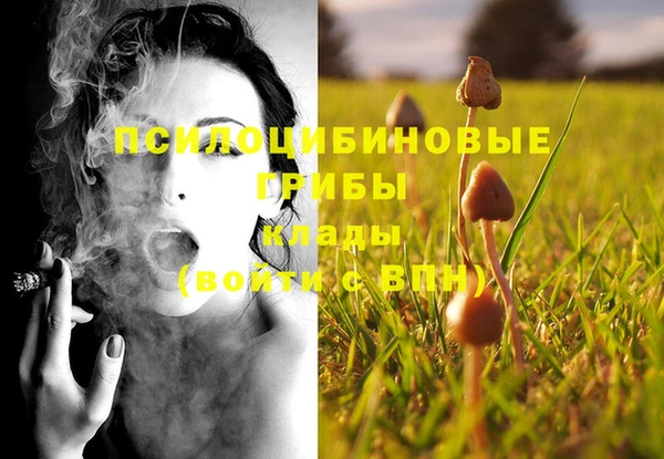 дурь Абдулино