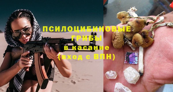 spice Абаза