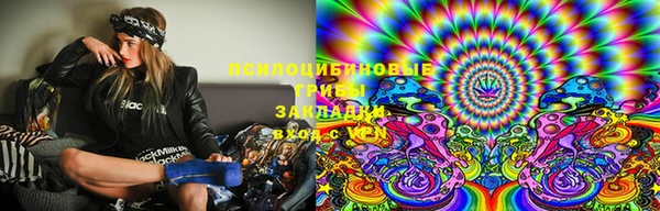spice Абаза