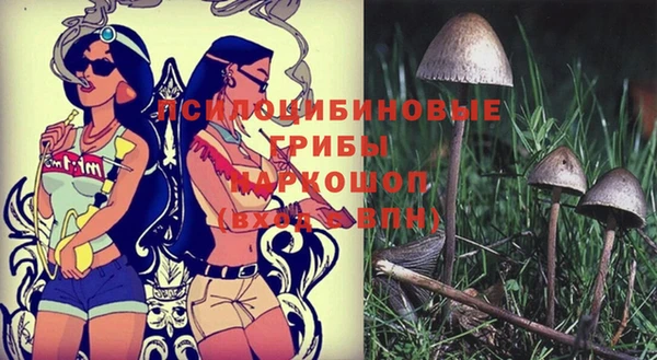 дурь Абдулино