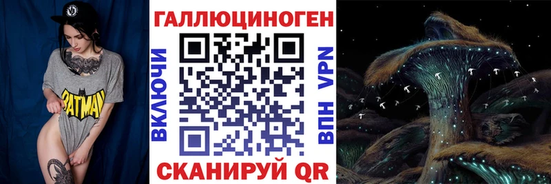 Псилоцибиновые грибы MAGIC MUSHROOMS  где найти   Галич 